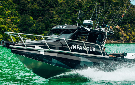 Senator Hard Tops | Gold Coast Boating Centre