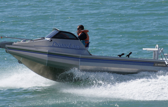 Senator RC 540 Cuddy