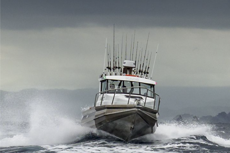 SURESEA™ HULL | Gold Coast Boating Centre