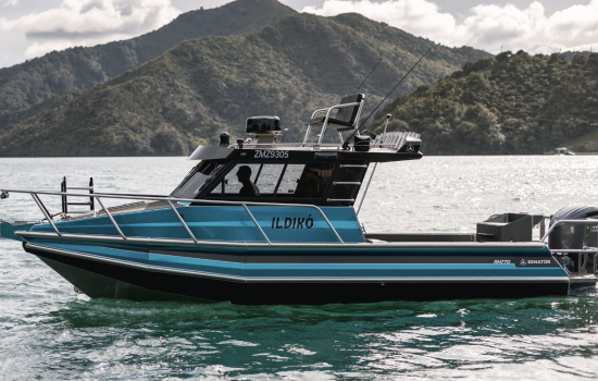 Senator RH 770 Hardtop