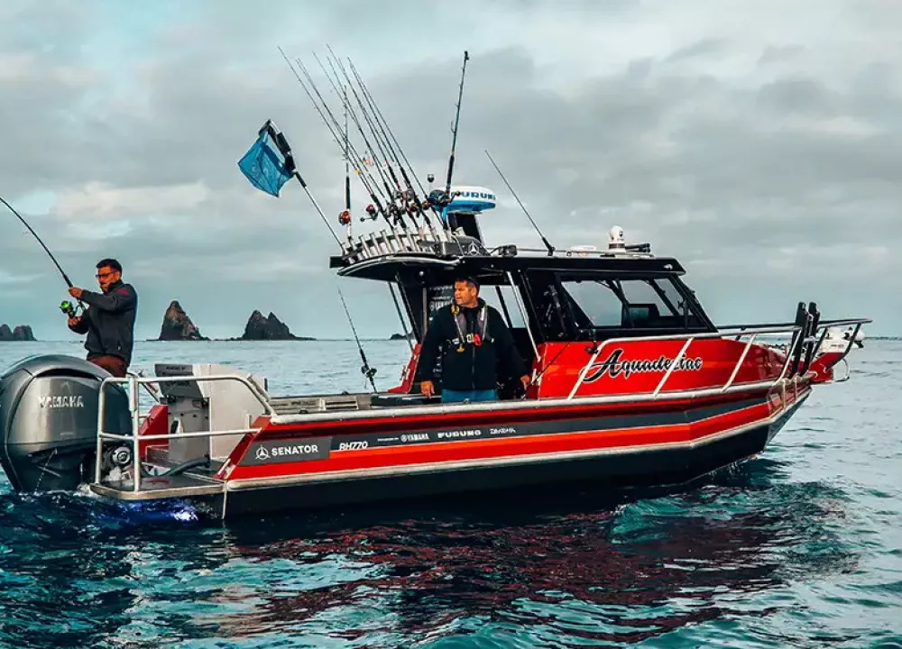 Senator Boats | Gold Coast Boating Centre 